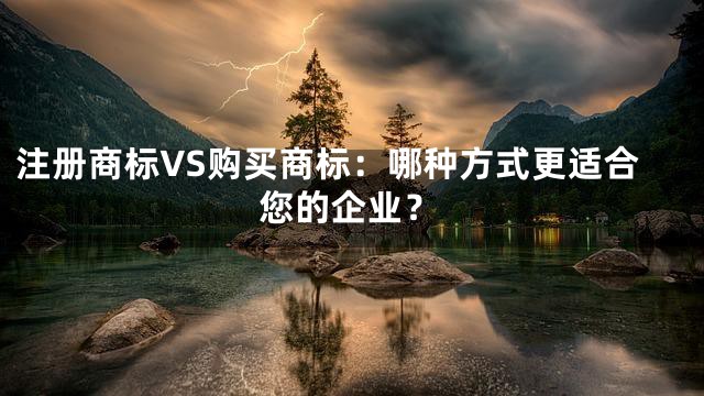 注册商标VS购买商标：哪种方式更适合您的企业？