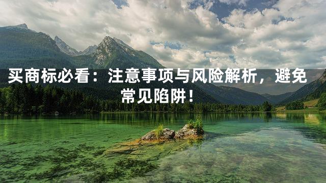 买商标必看：注意事项与风险解析，避免常见陷阱！