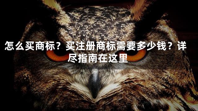 怎么买商标？买注册商标需要多少钱？详尽指南在这里