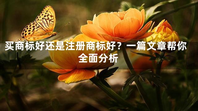 买商标好还是注册商标好？一篇文章帮你全面分析