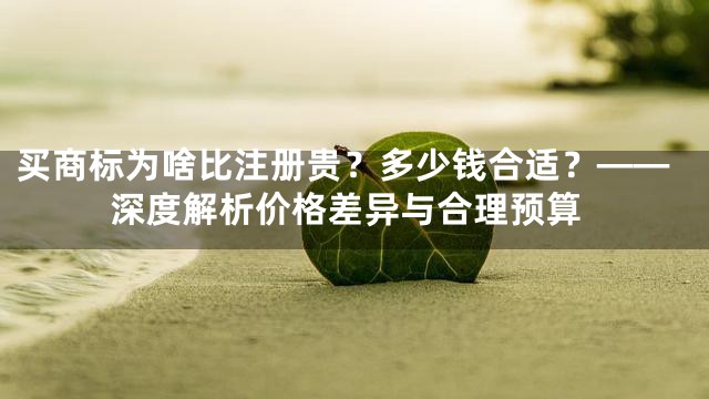 买商标为啥比注册贵？多少钱合适？——深度解析价格差异与合理预算