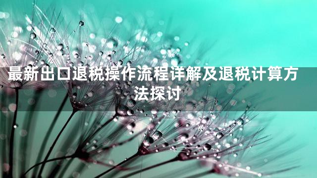 最新出口退税操作流程详解及退税计算方法探讨