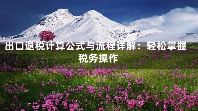 出口退税计算公式与流程详解：轻松掌握税务操作