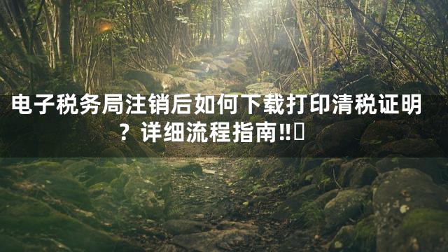 电子税务局注销后如何下载打印清税证明？详细流程指南‼️