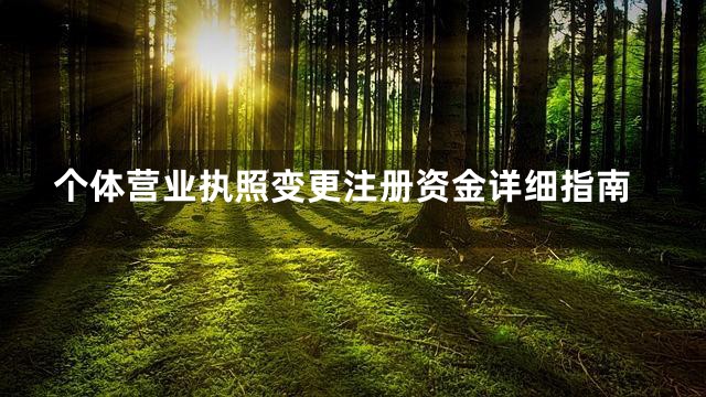 个体营业执照变更注册资金详细指南