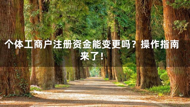 个体工商户注册资金能变更吗？操作指南来了！