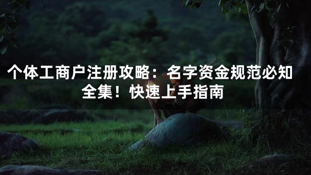 个体工商户注册攻略：名字资金规范必知全集！快速上手指南