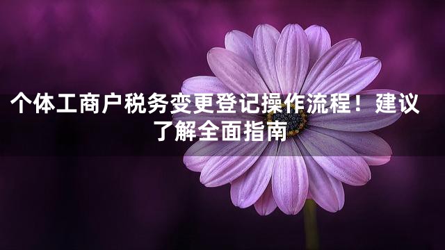 个体工商户税务变更登记操作流程！建议了解全面指南