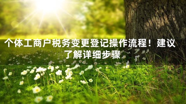 个体工商户税务变更登记操作流程！建议了解详细步骤