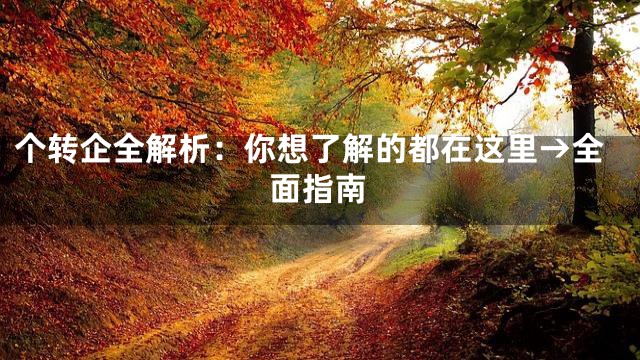 个转企全解析：你想了解的都在这里→全面指南