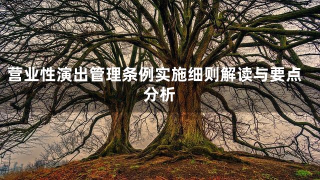 营业性演出管理条例实施细则解读与要点分析