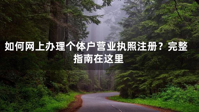 如何网上办理个体户营业执照注册？完整指南在这里