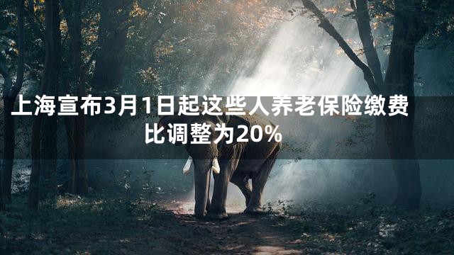 上海宣布3月1日起这些人养老保险缴费比调整为20%