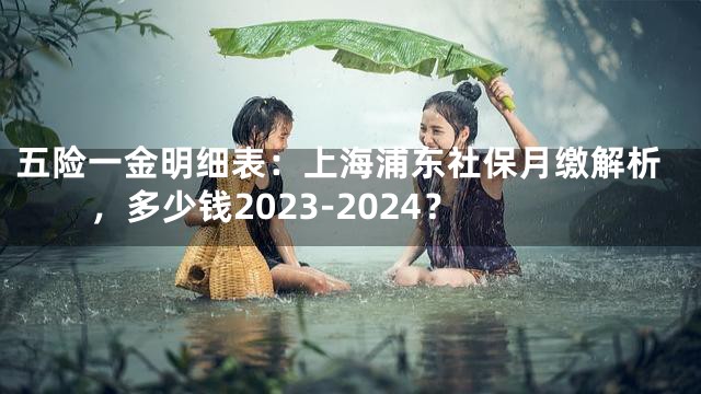 五险一金明细表：上海浦东社保月缴解析，多少钱2023-2024？