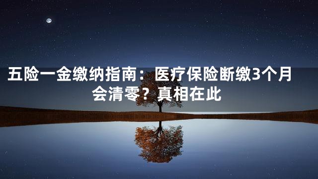 五险一金缴纳指南：医疗保险断缴3个月会清零？真相在此