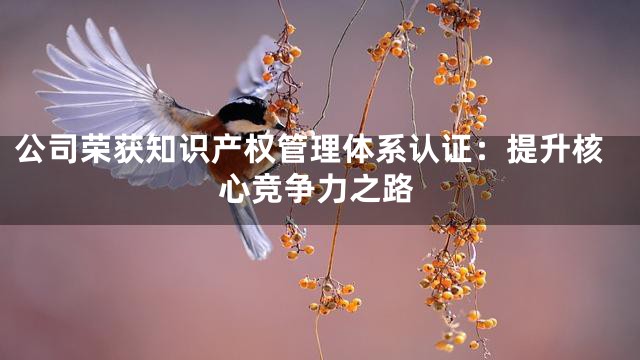 公司荣获知识产权管理体系认证：提升核心竞争力之路