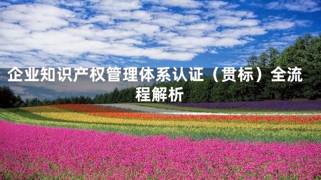 企业知识产权管理体系认证（贯标）全流程解析