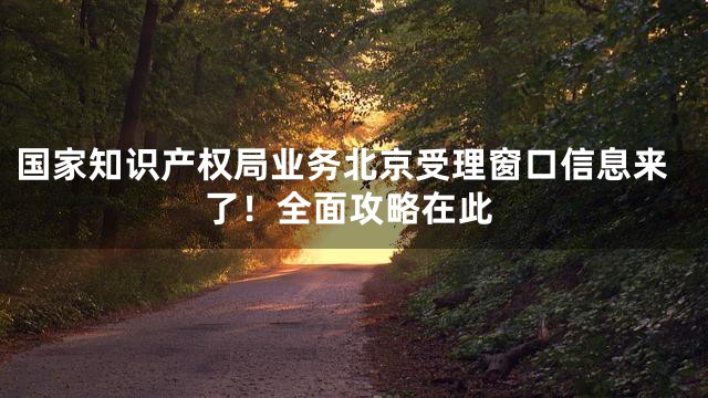 国家知识产权局业务北京受理窗口信息来了！全面攻略在此