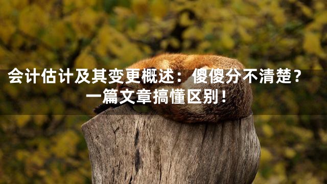 会计估计及其变更概述：傻傻分不清楚？一篇文章搞懂区别！
