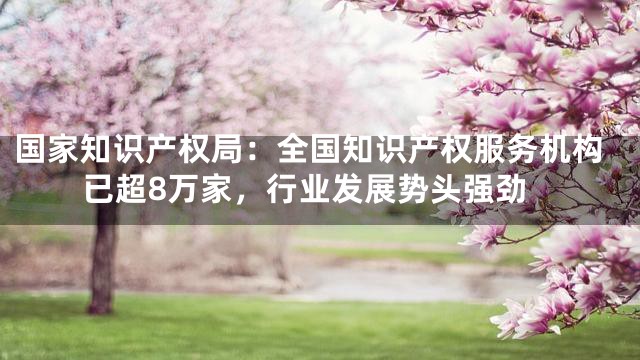 国家知识产权局：全国知识产权服务机构已超8万家，行业发展势头强劲