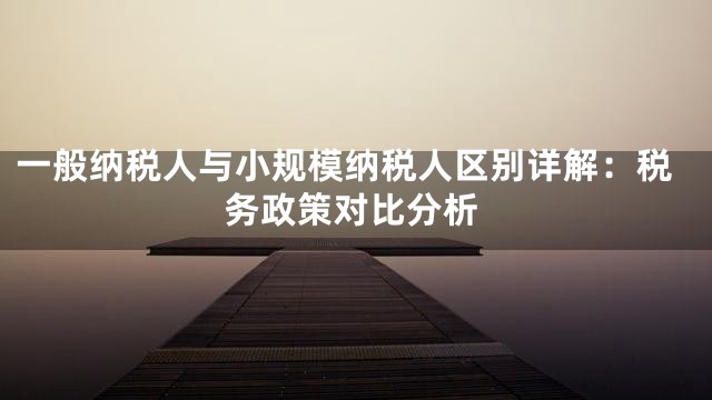 一般纳税人与小规模纳税人区别详解：税务政策对比分析