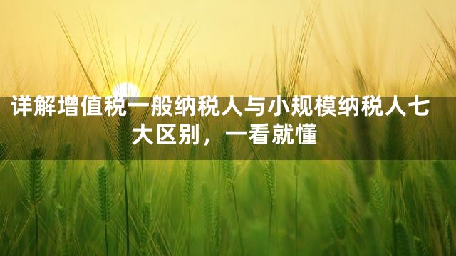 详解增值税一般纳税人与小规模纳税人七大区别，一看就懂