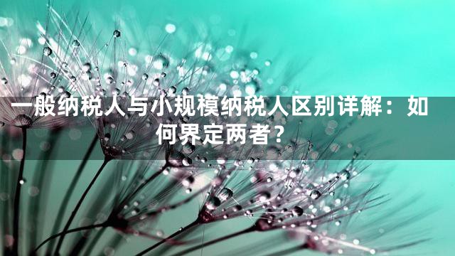 一般纳税人与小规模纳税人区别详解：如何界定两者？