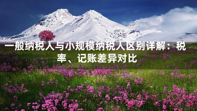 一般纳税人与小规模纳税人区别详解：税率、记账差异对比