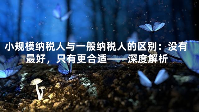 小规模纳税人与一般纳税人的区别：没有最好，只有更合适——深度解析
