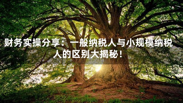 财务实操分享：一般纳税人与小规模纳税人的区别大揭秘！