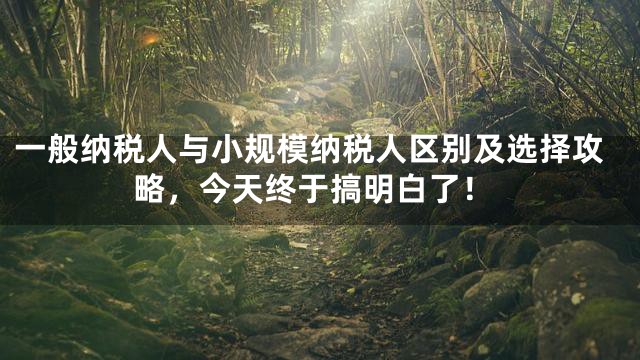 一般纳税人与小规模纳税人区别及选择攻略，今天终于搞明白了！
