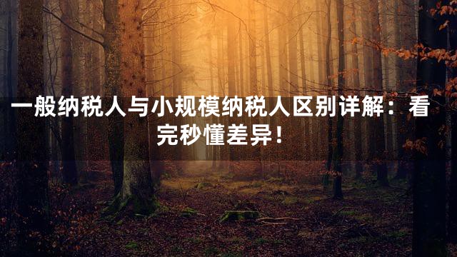 一般纳税人与小规模纳税人区别详解：看完秒懂差异！