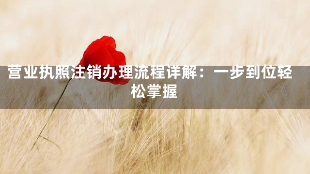 营业执照注销办理流程详解：一步到位轻松掌握