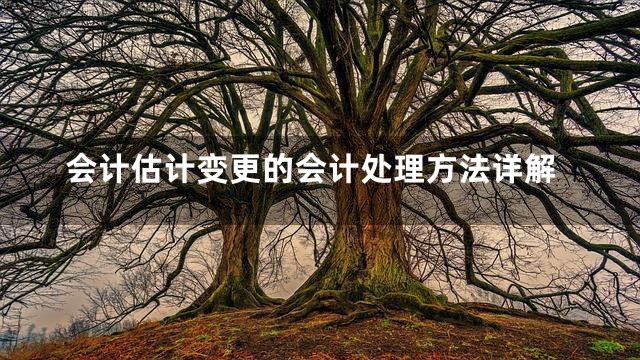 会计估计变更的会计处理方法详解