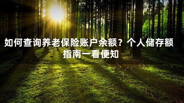如何查询养老保险账户余额？个人储存额指南一看便知
