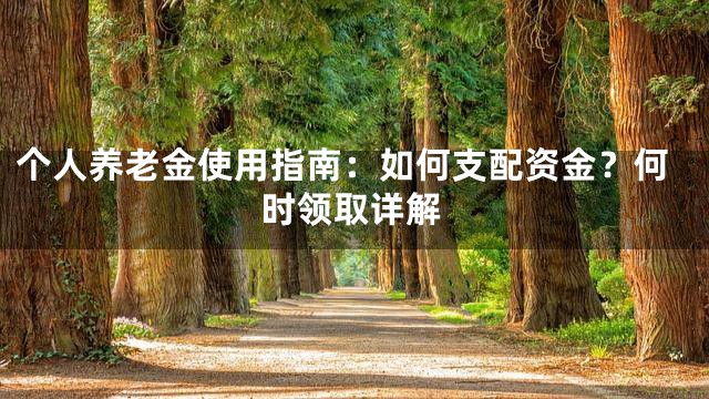 个人养老金使用指南：如何支配资金？何时领取详解