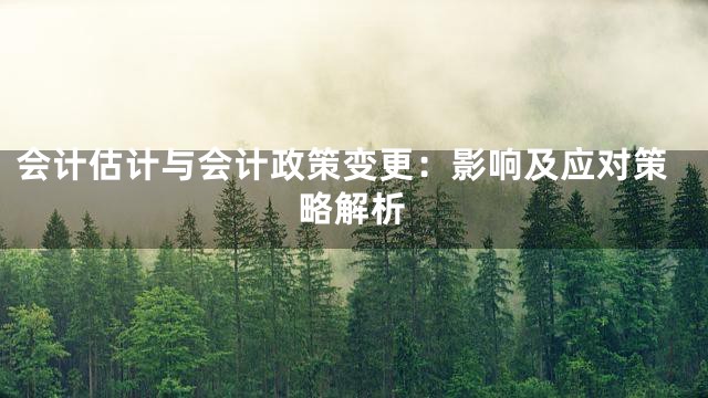 会计估计与会计政策变更：影响及应对策略解析