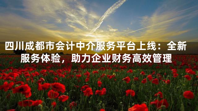 四川成都市会计中介服务平台上线：全新服务体验，助力企业财务高效管理
