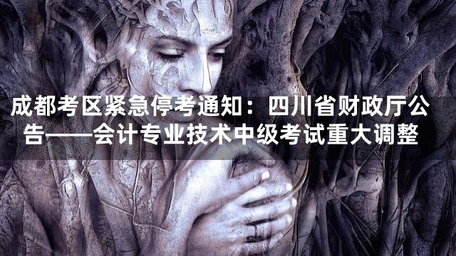 成都考区紧急停考通知：四川省财政厅公告——会计专业技术中级考试重大调整