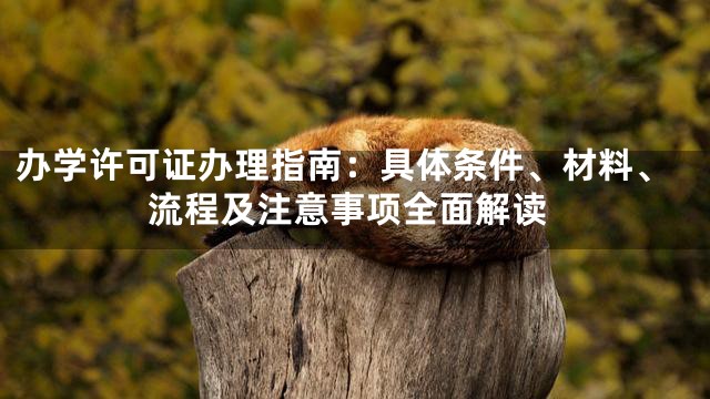 办学许可证办理指南：具体条件、材料、流程及注意事项全面解读