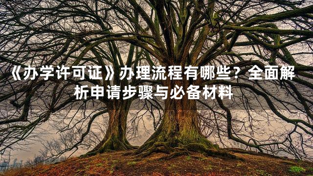 《办学许可证》办理流程有哪些？全面解析申请步骤与必备材料