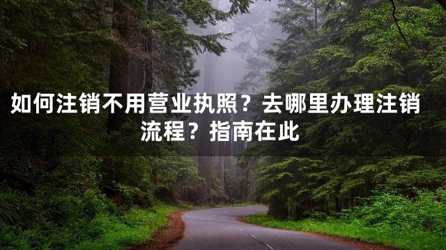 如何注销不用营业执照？去哪里办理注销流程？指南在此