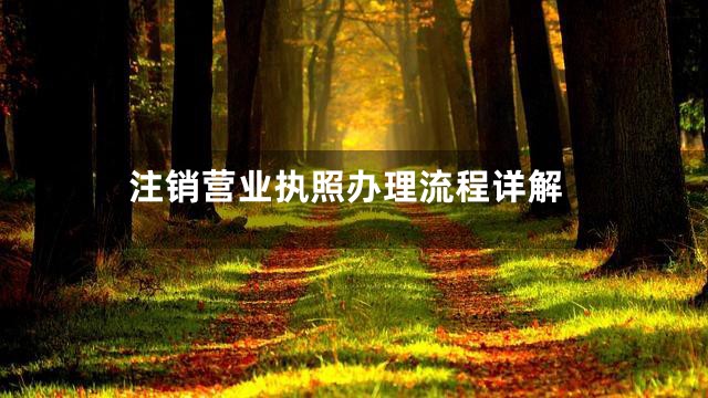 注销营业执照办理流程详解