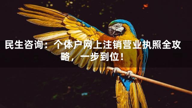 民生咨询：个体户网上注销营业执照全攻略，一步到位！