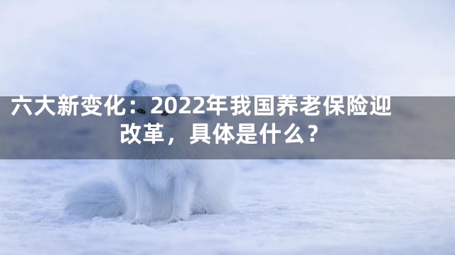 六大新变化：2022年我国养老保险迎改革，具体是什么？