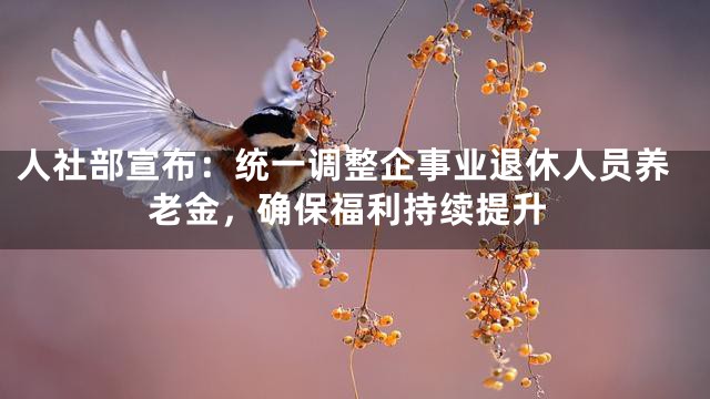 人社部宣布：统一调整企事业退休人员养老金，确保福利持续提升