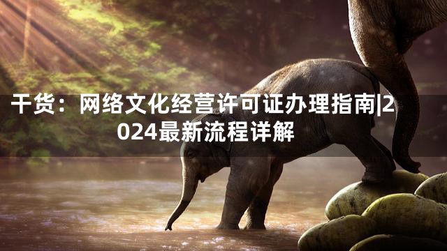 干货：网络文化经营许可证办理指南|2024最新流程详解