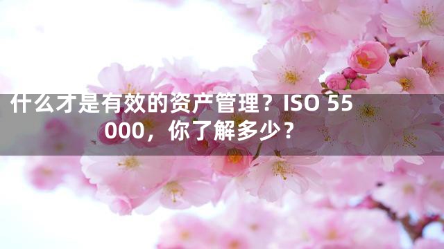 什么才是有效的资产管理？ISO 55000，你了解多少？