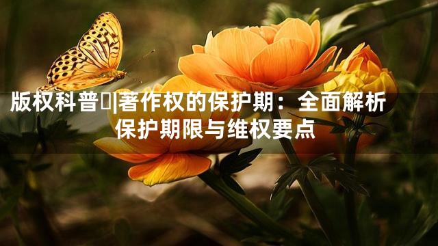 版权科普⑰|著作权的保护期：全面解析保护期限与维权要点