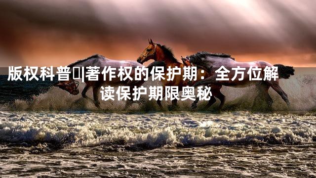 版权科普⑰|著作权的保护期：全方位解读保护期限奥秘